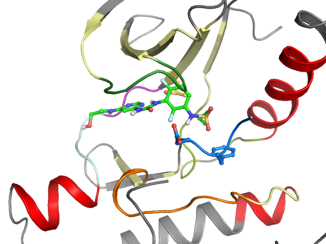 The orthosteric binding pocket