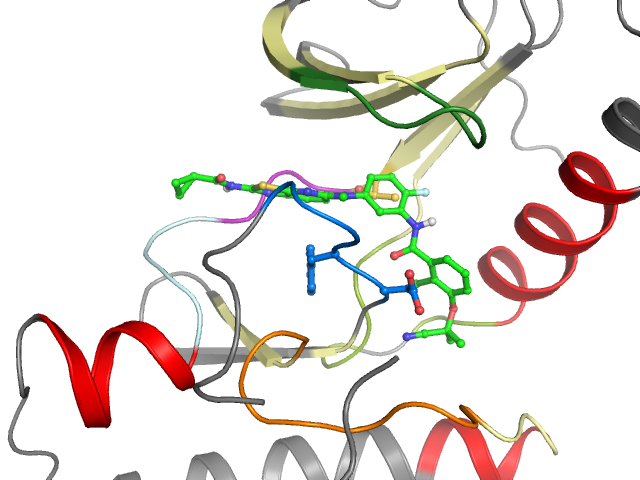 The orthosteric binding pocket