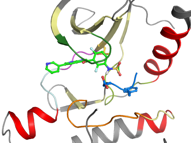 The orthosteric binding pocket