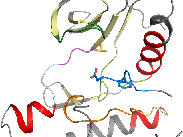 The orthosteric binding pocket
