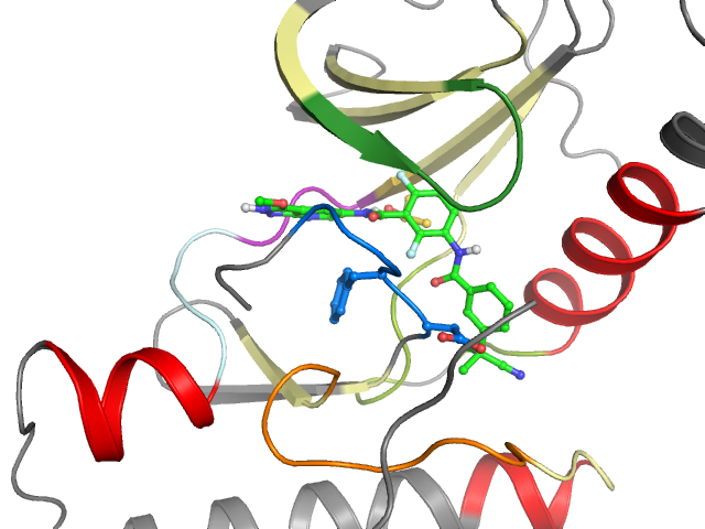 The orthosteric binding pocket