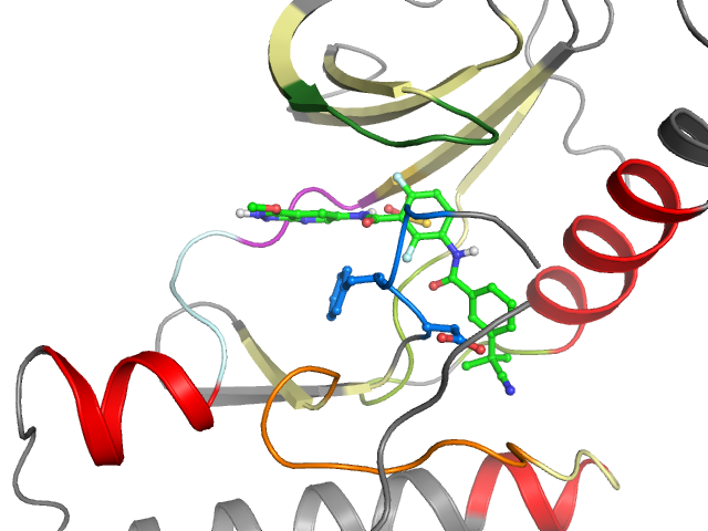 The orthosteric binding pocket