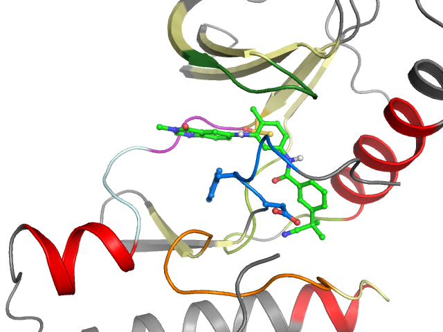 The orthosteric binding pocket