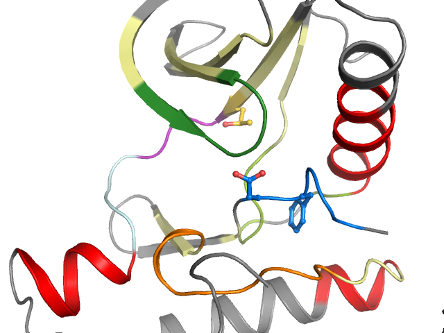 The orthosteric binding pocket