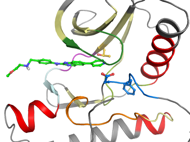 The orthosteric binding pocket