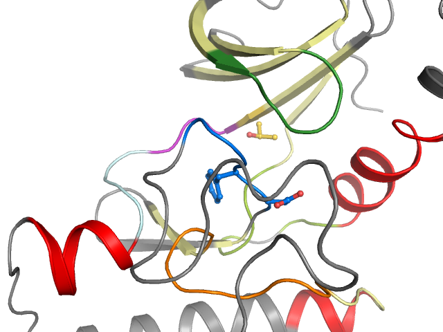 The orthosteric binding pocket