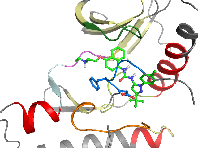 The orthosteric binding pocket