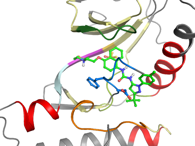 The orthosteric binding pocket