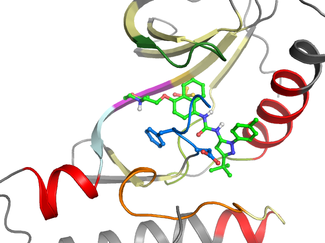 The orthosteric binding pocket
