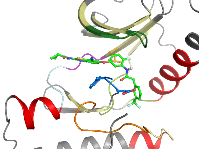The orthosteric binding pocket