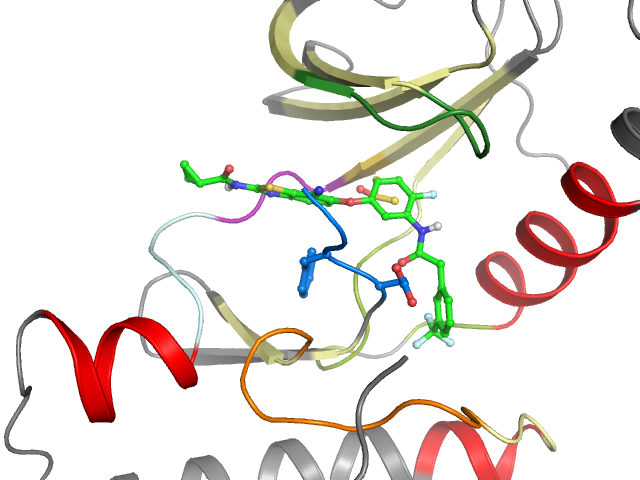 The orthosteric binding pocket