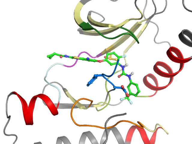 The orthosteric binding pocket
