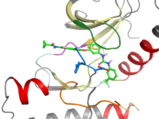 The orthosteric binding pocket