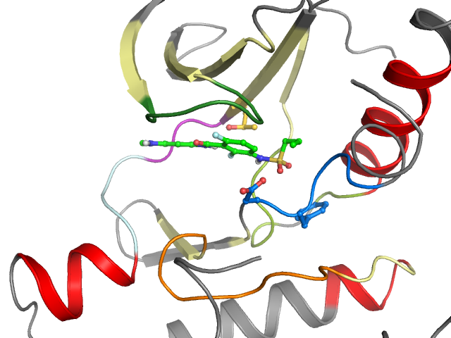 The orthosteric binding pocket