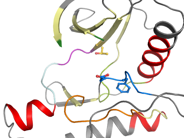 The orthosteric binding pocket