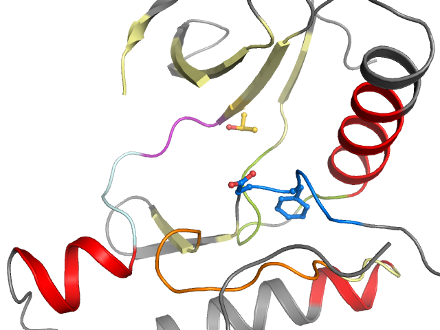 The orthosteric binding pocket