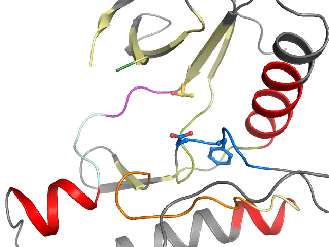 The orthosteric binding pocket