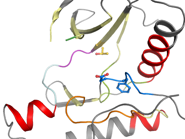 The orthosteric binding pocket