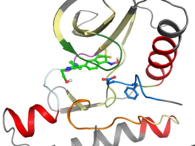 The orthosteric binding pocket