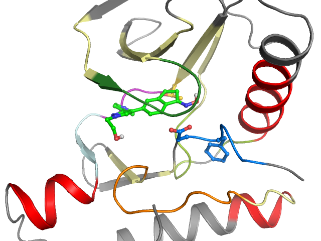 The orthosteric binding pocket
