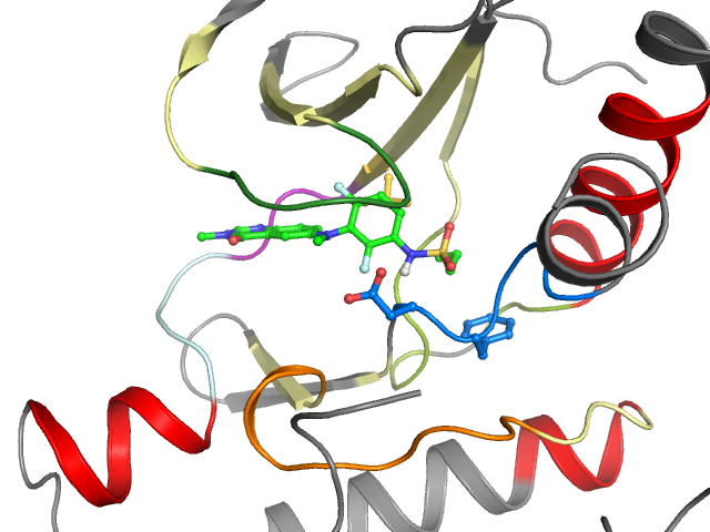 The orthosteric binding pocket