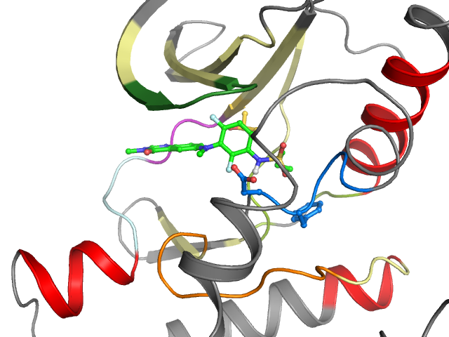 The orthosteric binding pocket