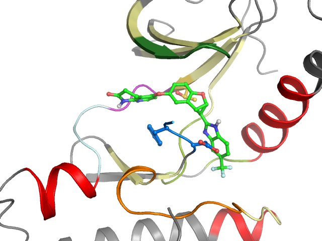 The orthosteric binding pocket