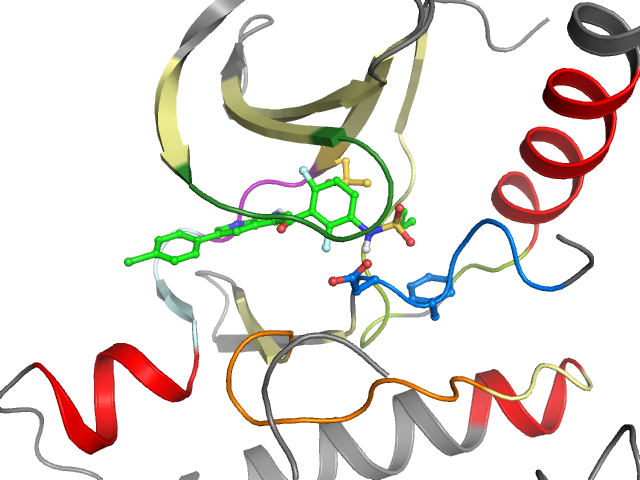 The orthosteric binding pocket