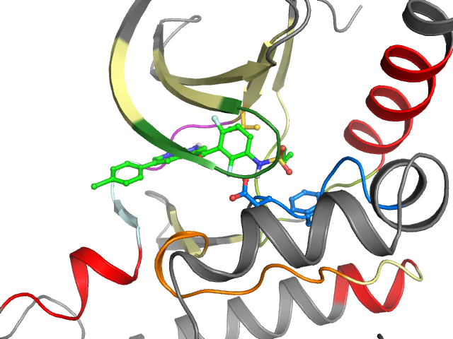 The orthosteric binding pocket