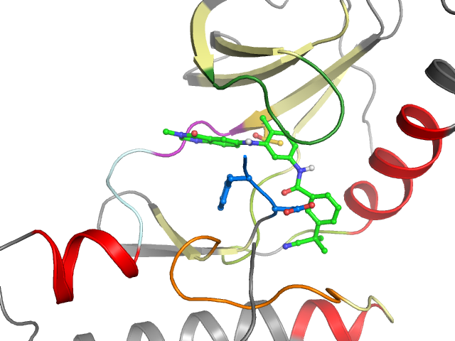 The orthosteric binding pocket