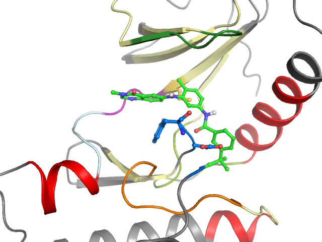 The orthosteric binding pocket