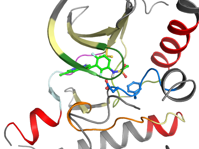 The orthosteric binding pocket