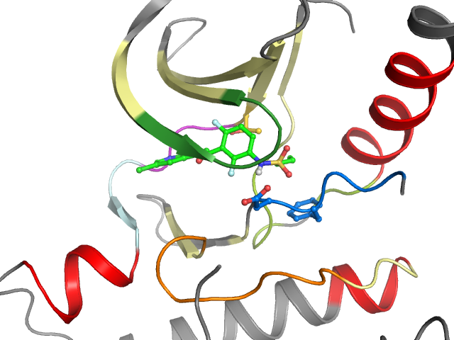 The orthosteric binding pocket