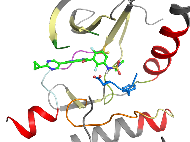 The orthosteric binding pocket