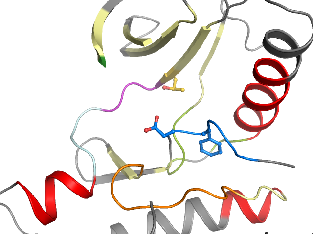 The orthosteric binding pocket