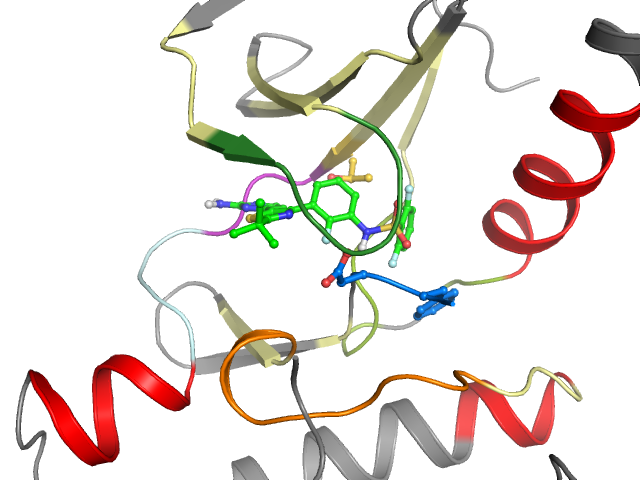 The orthosteric binding pocket