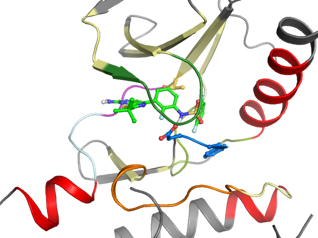 The orthosteric binding pocket