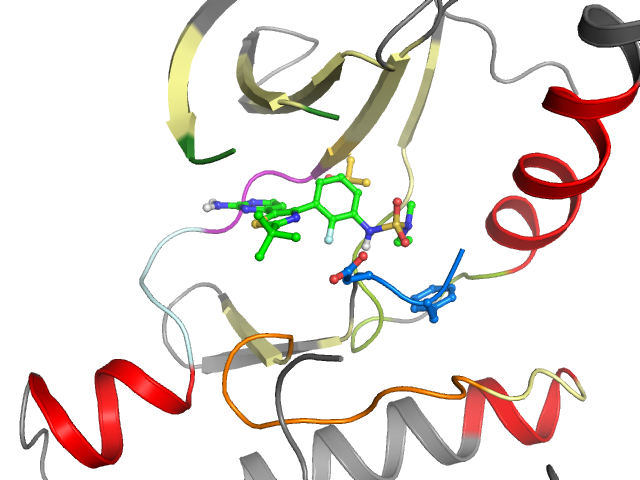 The orthosteric binding pocket