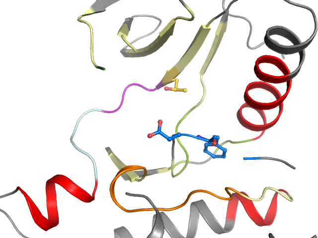 The orthosteric binding pocket