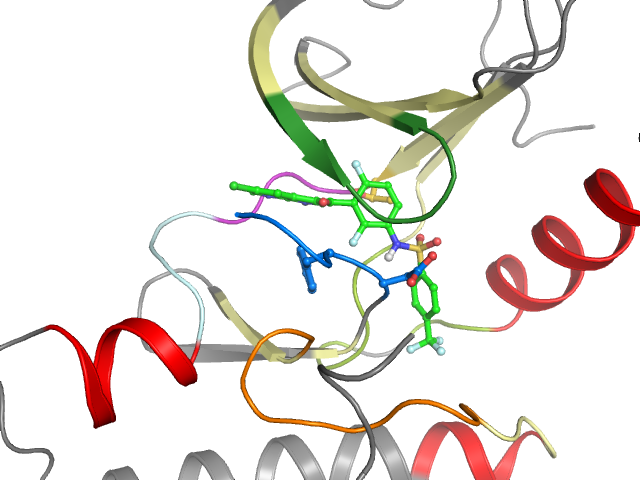 The orthosteric binding pocket