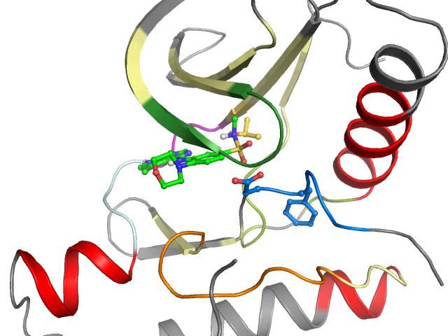 The orthosteric binding pocket