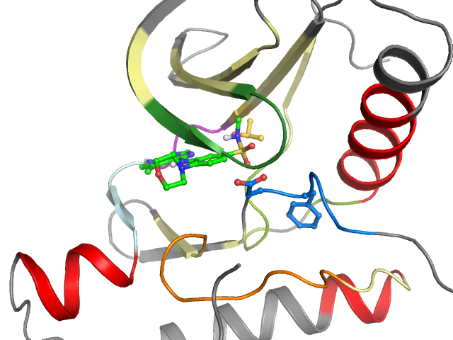 The orthosteric binding pocket