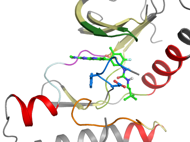 The orthosteric binding pocket