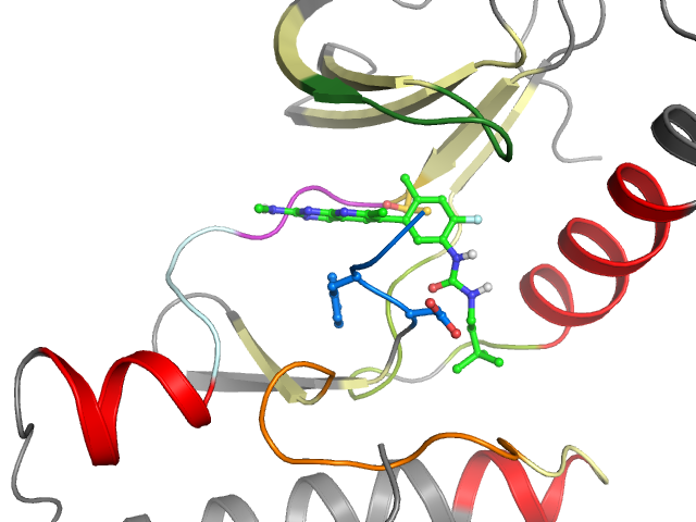 The orthosteric binding pocket