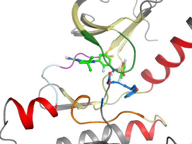 The orthosteric binding pocket