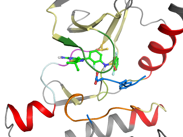 The orthosteric binding pocket