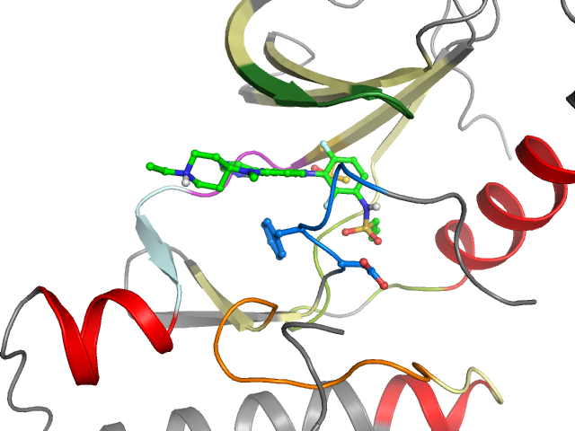 The orthosteric binding pocket