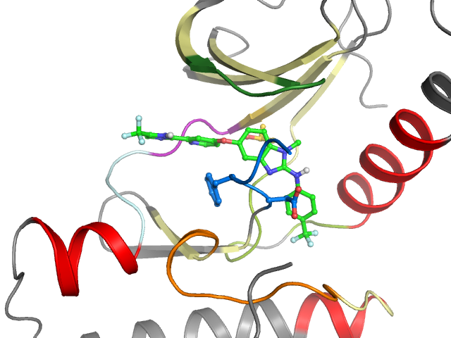 The orthosteric binding pocket