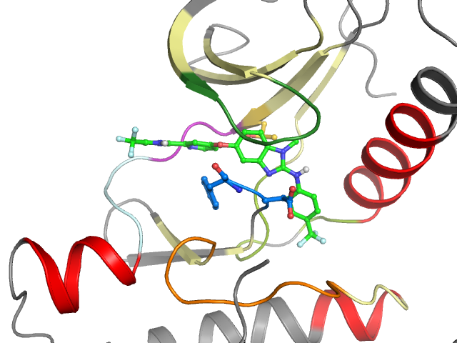 The orthosteric binding pocket