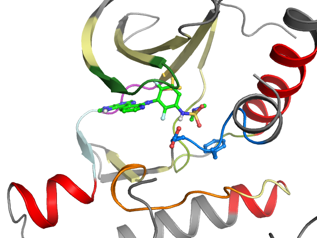 The orthosteric binding pocket